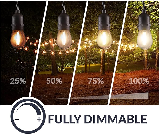 Newhouse Lighting LED String Lights with Weatherproof Technology, Dimmable with Wireless Remote Control, 48ft and 16 (15+1 Free) LED Light Bulbs Included, Black (CSTRINGLEDDIM)