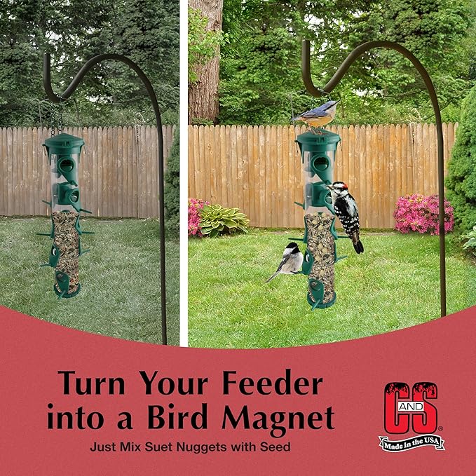 C&S Wild Bird Peanut Suet Nuggets Mega Box, 8 Pounds