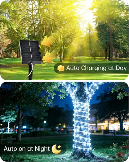 Solar Rope Lights Outdoor, 2 Packs Total 144FT 400LED Solar String Lights with 8 Lighting Modes, Waterproof Solar Powered Fairy Lights for Party Garden Yard Home Holiday Tree Decoration, Pure White