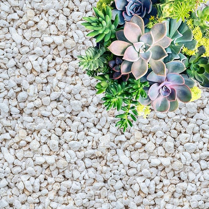 GARDENWISE Perlite for Plants, Coarse and Chunky Horticultural Perlite, Organic Perlite for Gardening Indoor & Outdoor, Perlite Bulk Bag, Made in USA (5 quarts)