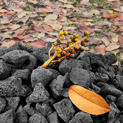 GasSaf 10 Pounds Black Lava Rocks for Fire Pit, Fireplace, Gas Fire Tables, Gas Log Set, Decorative Landscaping Rocks for Indoor and Outdoor (0.8-1.2 Inch)