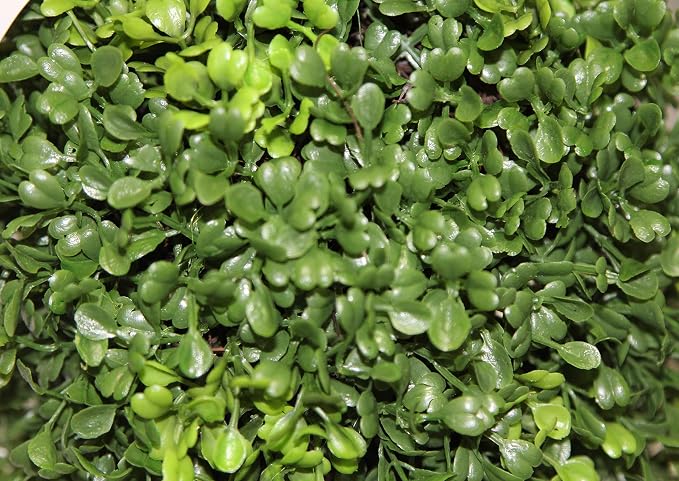 Admired by Nature 26" Artificial Topiary 2 Ball Shape Boxwood Topiary with Planter - For Home Decor, Offices, Indoor Outdoor Display - Green/Green Pot