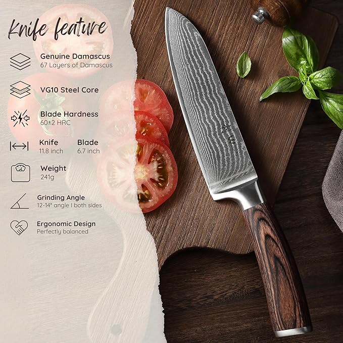 Wakoli EDIB Damascus Santoku Knife – 6.7-Inch Japanese-Style Kitchen Knife, 67-Layer Damascus Steel Blade with VG10 Core, Ergonomic Pakkawood Handle – Professional Cooking Knife in Elegant Gift Box