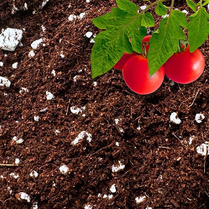 GARDENWISE Coco Perlite - Coco Coir Perlite Mix - 70/30 Growing Media - Hydroponic, Indoor & Outdoor, Grow Bags & House Plants (1 Quart)