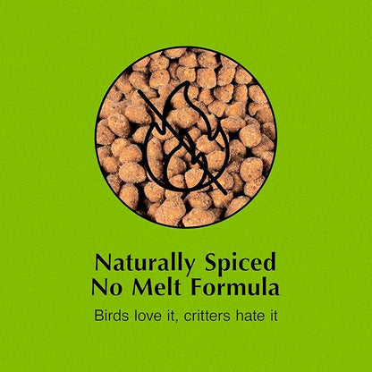 C&S Hot Pepper Suet Nuggets, Outdoor Wild Bird Food for Woodpeckers, Chickadees, Cardinals, Nuthatches and More, 27 Ounces