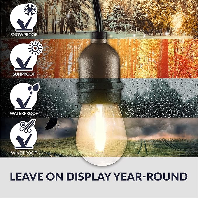 Newhouse Lighting LED String Lights with Weatherproof Technology, Dimmable with Wireless Remote Control, 48ft and 16 (15+1 Free) LED Light Bulbs Included, Black (CSTRINGLEDDIM)