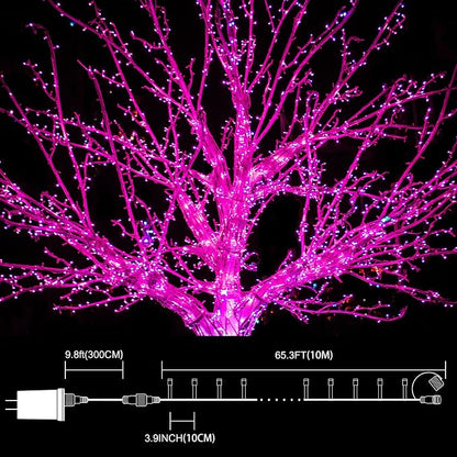 33ft Valentine Lights String, 100 LED Green Wire Pink Fairy Starry String Lights Plug in,16 Lighting Modes for Valentines Day Tree Decorations Wedding Party Decoration (Pink)