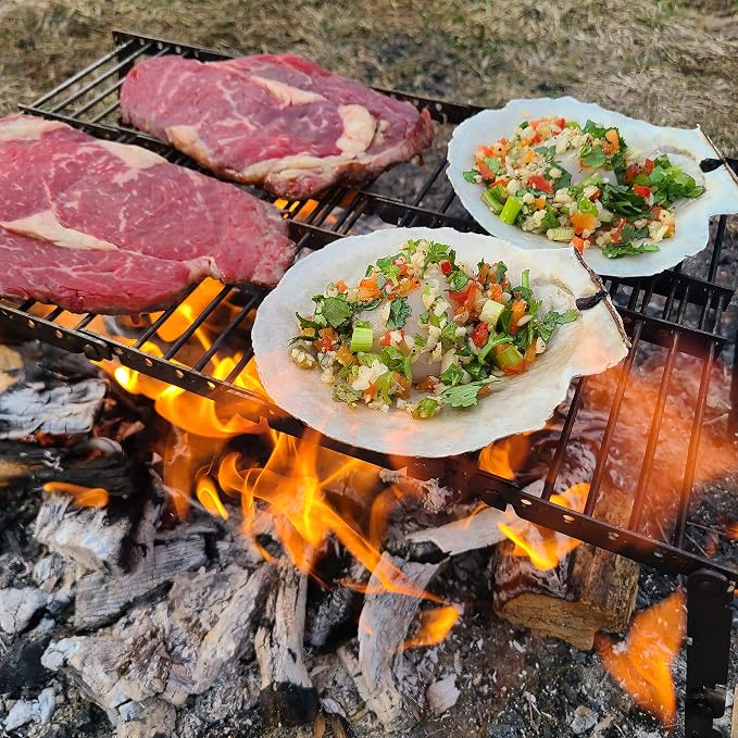 Stainless Steel Ultra Compact Portable Lightweight Camping Grill