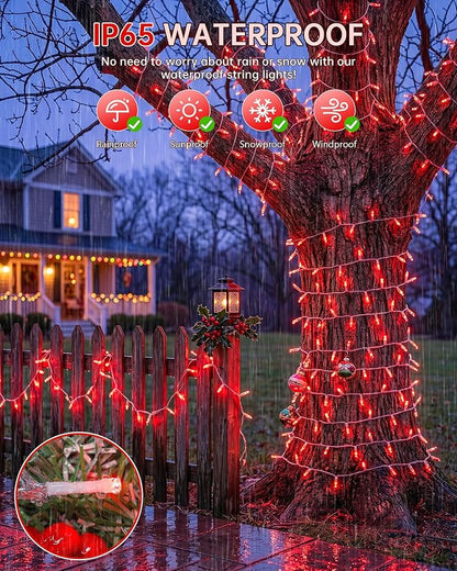 33FT 100 LED Red Christmas Valentine's Day Twinkle String Lights | Remote Control, 13 Modes with Memory, 4 Dimmable Brightness, 4 speed levels, Connectable, IP65 Waterproof, Transparent Wire