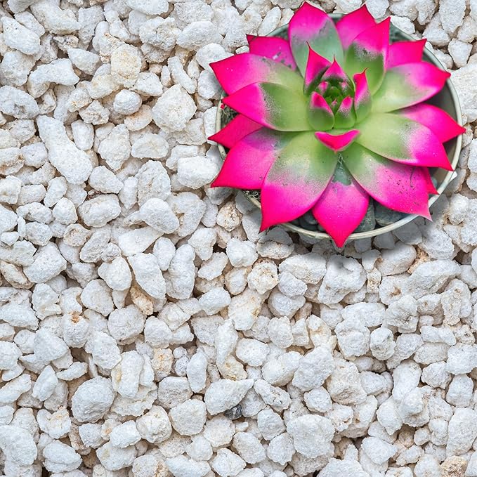 GARDENWISE Perlite for Plants, Extra Coarse Grade 4 Horticultural Perlite, Organic Perlite for Gardening Indoor & Outdoor, Made in USA (15 quarts)
