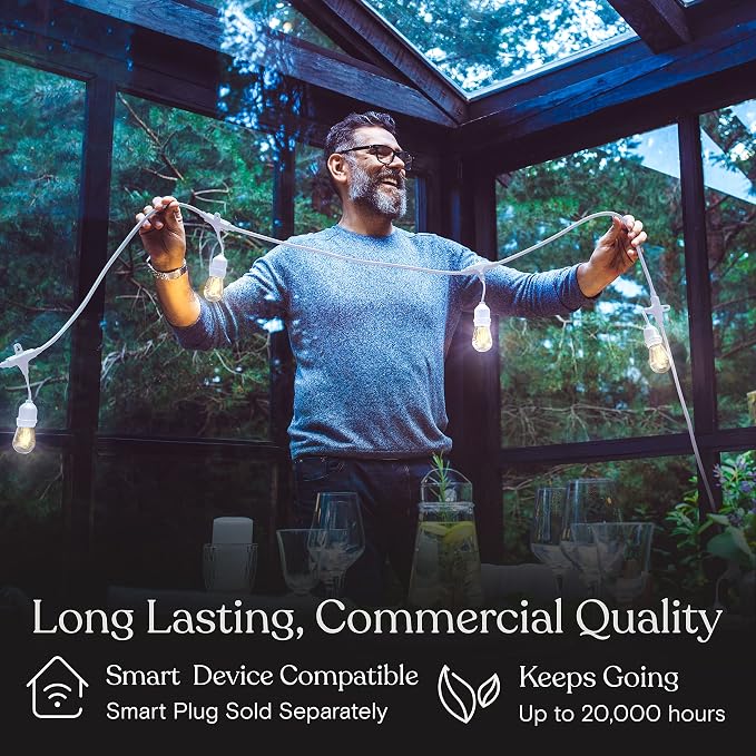 Brightech Ambience Pro Waterproof LED Outdoor String Lights, 48 Ft, Hanging, Dimmable Vintage Edison Bulbs, 15 Bulbs, 2W