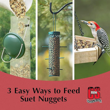 C&S Wild Bird Peanut Suet Nuggets Mega Box, 8 Pounds