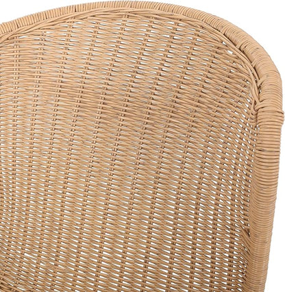 Christopher Knight Home Dinah Outdoor Wicker Dining Chair (Set of 2), Light Brown, Black
