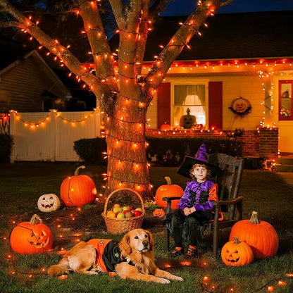 JMEXSUSS 500 LED Halloween Lights, 173ft Orange String Lights with Remote | Waterproof, 8 Modes, Plug in, Indoor Outdoor Orange Halloween Lights for Party Tree Fireplace Bedroom Patio Halloween Decor